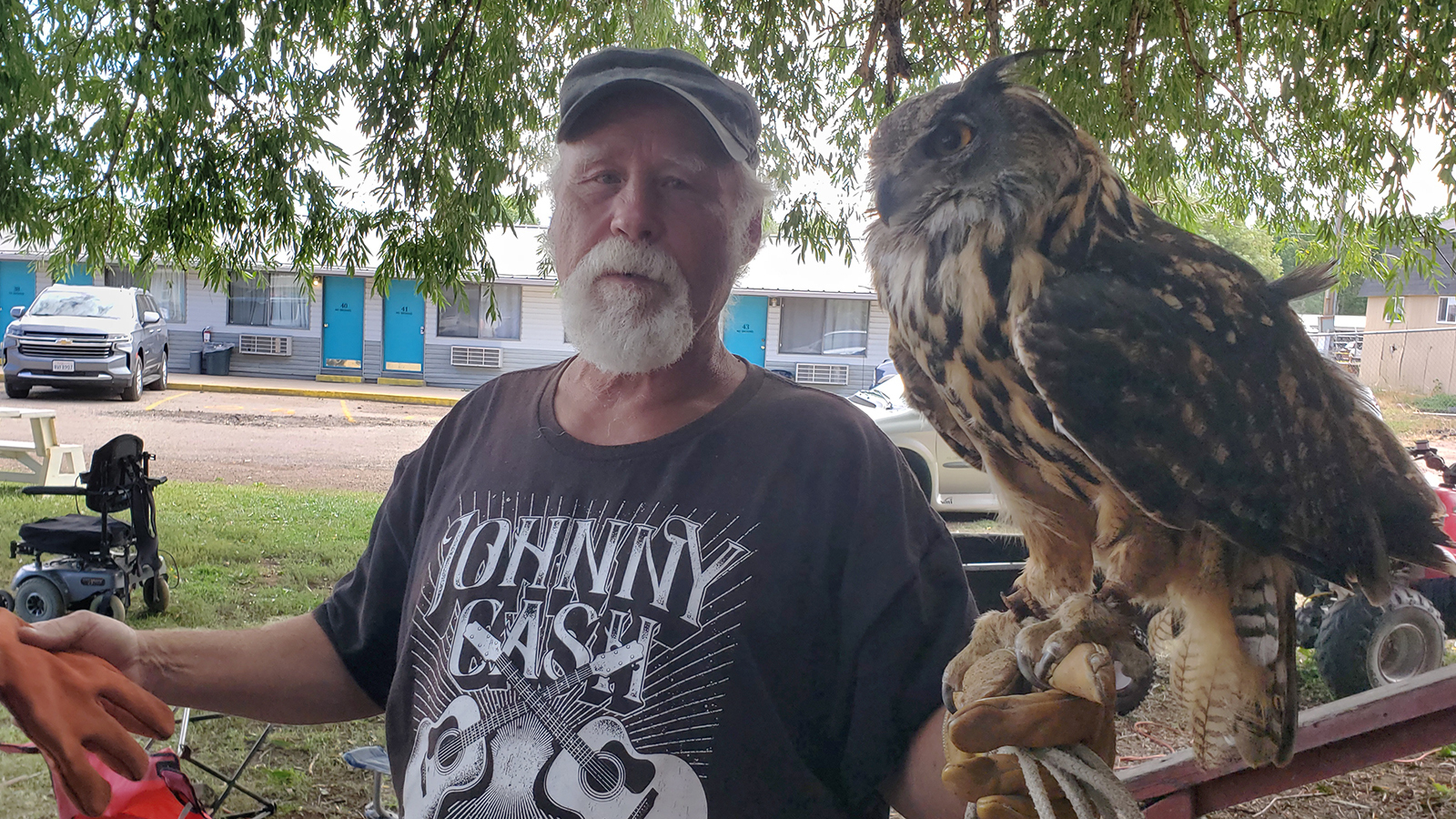 Meet Hoot, A Wyoming Owl Who Is The Most Famous Owl In The World Your