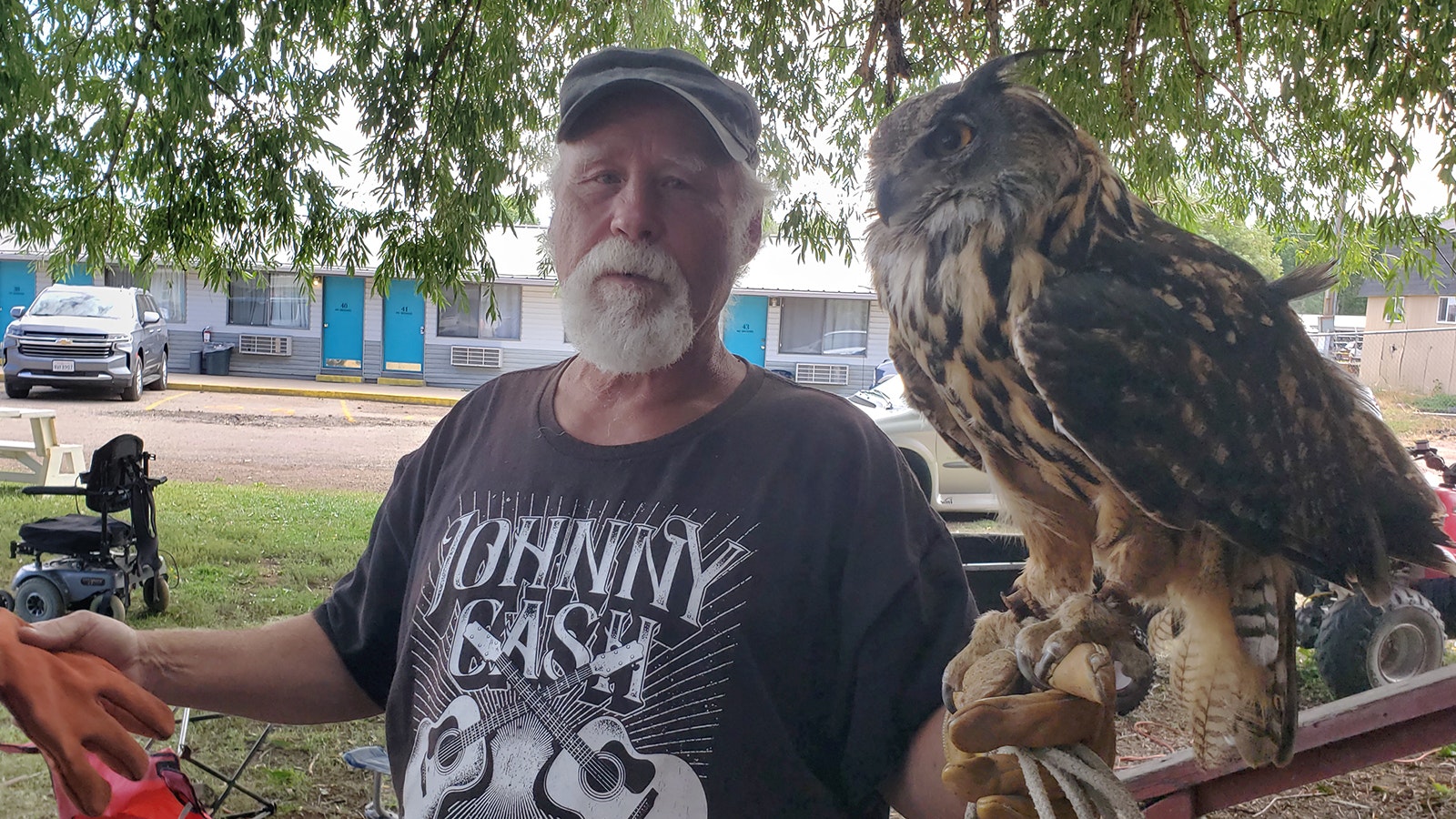 Jeff Shelburg has been training birds of prey since he was 9 years old, starting with a red tail hawk.