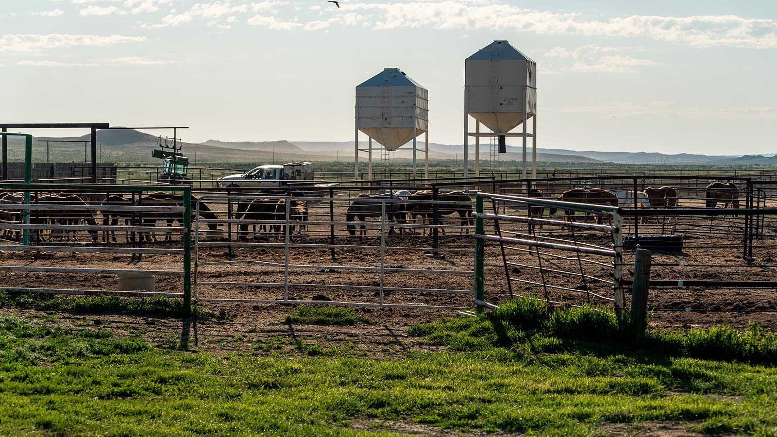 Wild Horse Basin, a 92,000-acre working cattle ranch with 50 ponds and five creeks is just 30 minutes from Casper. It also has potential for oil and gas development, and has hit the market for $45 million.