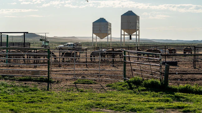 Wild Horse Basin Ranch, 92,000 Green Acres Near Casper, Lists For $45 ...