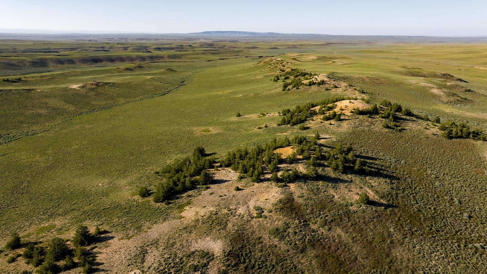 Wild Horse Basin, a 92,000-acre working cattle ranch with 50 ponds and five creeks is just 30 minutes from Casper. It also has potential for oil and gas development, and has hit the market for $45 million.