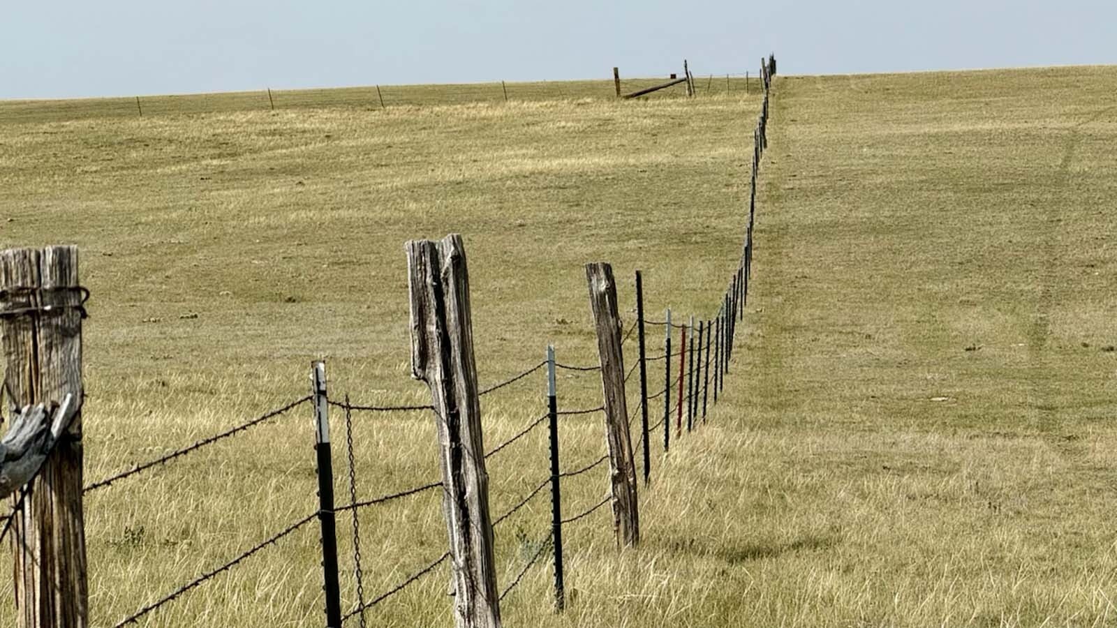 Spanish energy giant Repsol’s plan for 170 turbines near Horse Creek is dividing Laramie County ranchers. Locals weigh the economic benefits against threats to wildlife, traffic, coveted views and private property rights.
