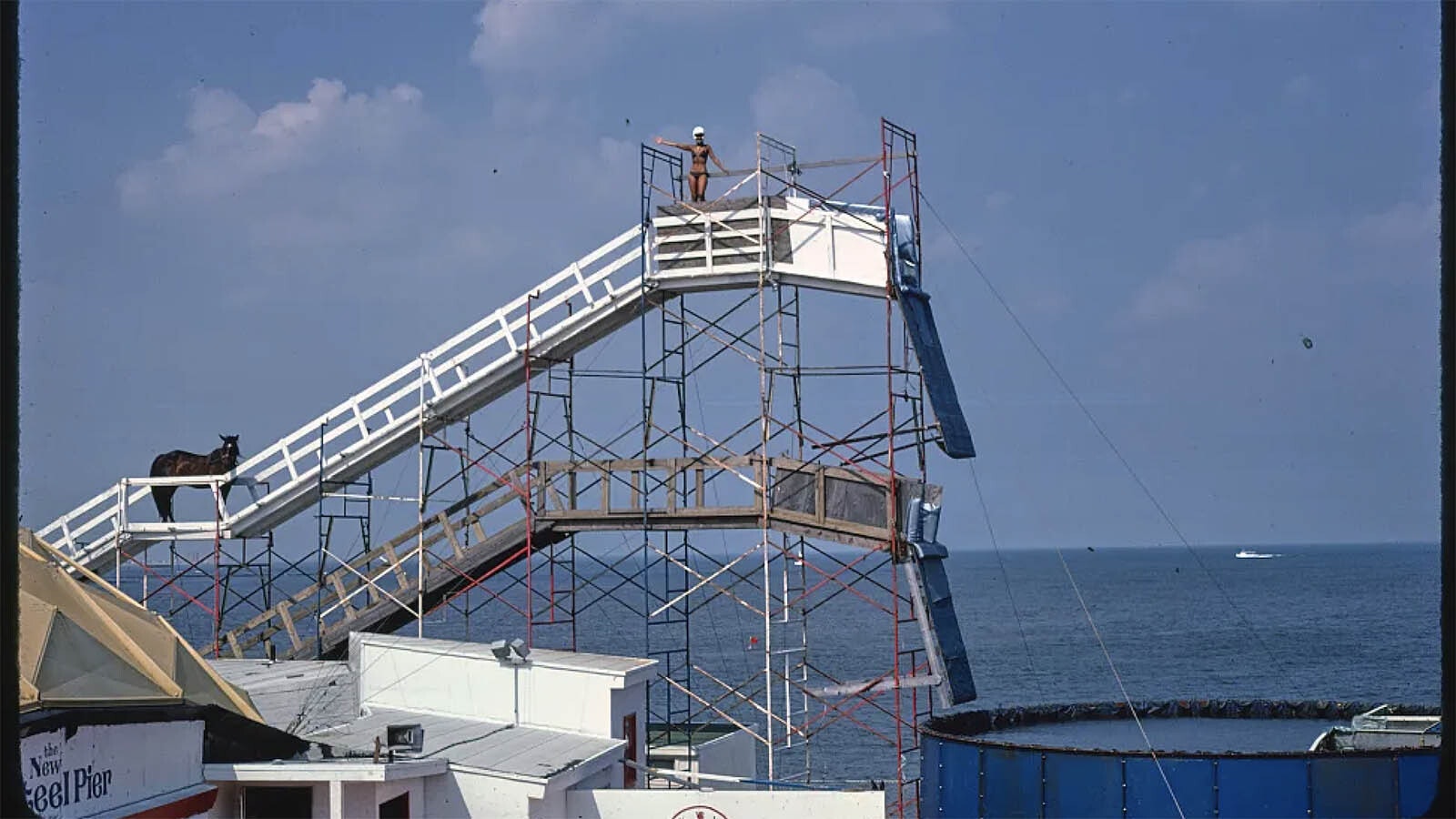 A picture of the last horse dive in Atlantic City in 1978. Note the significantly reduced height of the platforms from the 1920s.