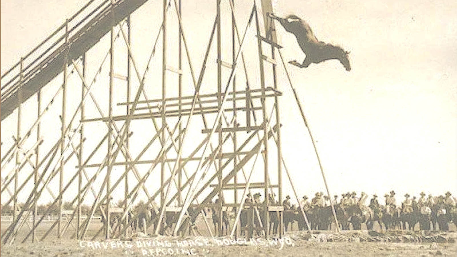 Carver's Diving Horse Show at the state fair in Douglas, Wyoming, in 1917.