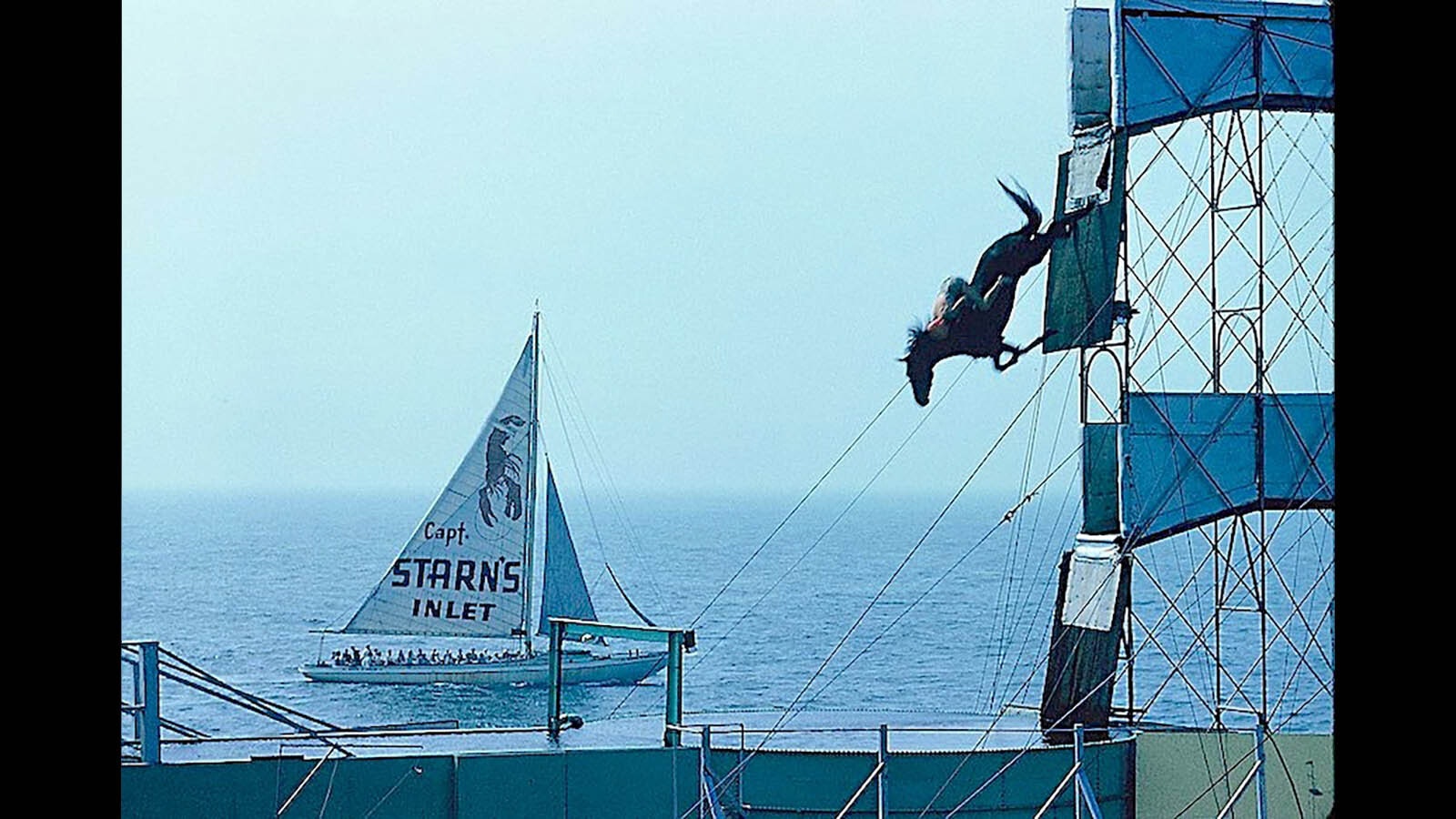 Diving horse at Atlantic City Steel Pier 1959.