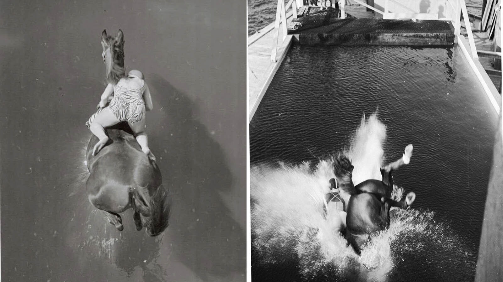 Landing was the hard part. At right, Dimah and her rider Ann Eastham plunge into the pool in 1960.