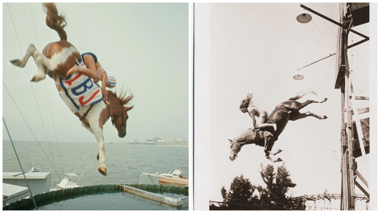 Horse diving into the water at Atlantic City, left. At right, “This is me on Klatawah in St. Joe, Mo. about 10 years ago. Lorena,” was written on the backside of this undated photo.