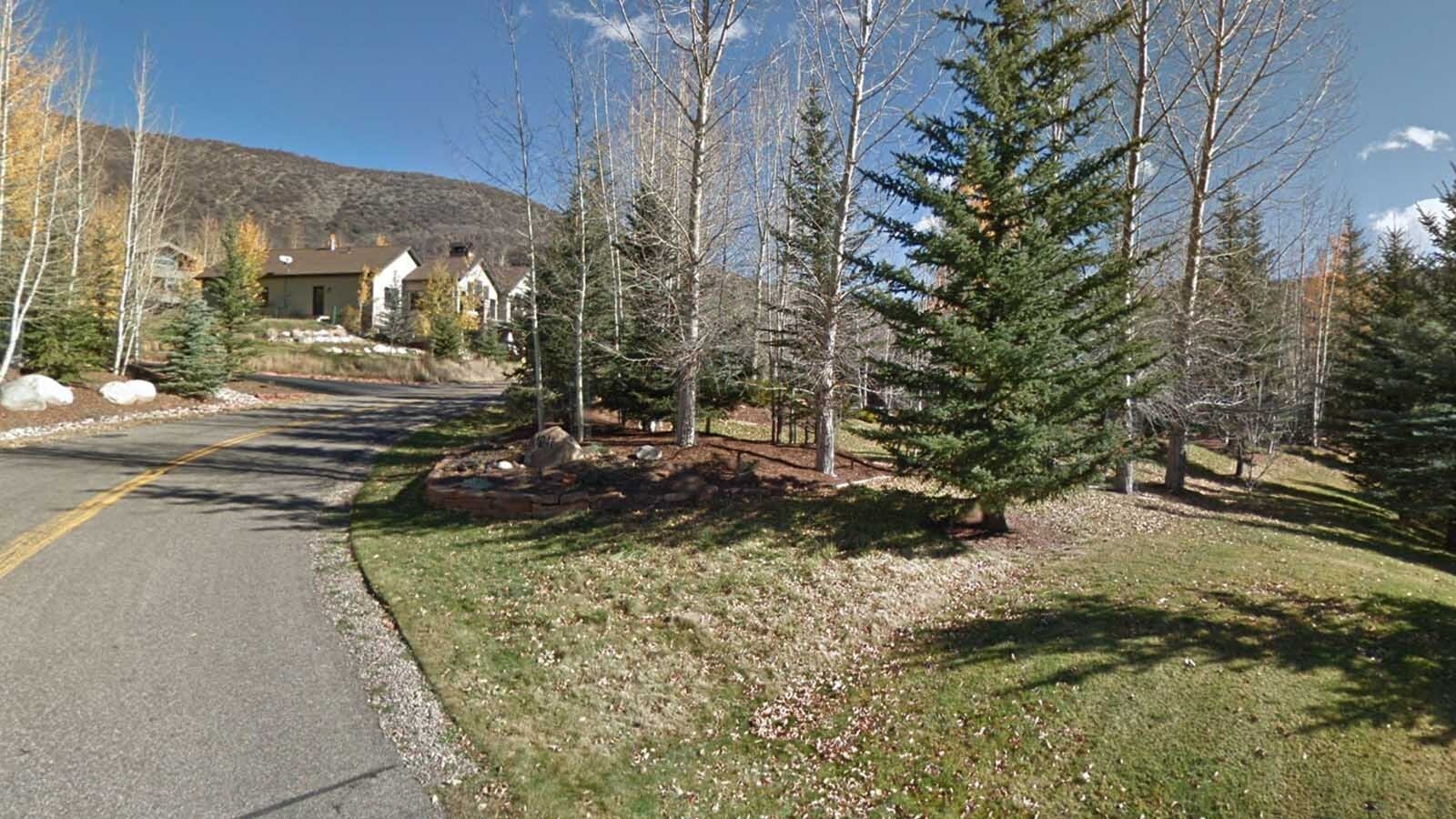 An escaped rodeo bull has remained running free and eluding capture in the Horse Ranch neighborhood of Snowmass Village, Colorado. It's an upscale area with plenty of woods and private spaces.