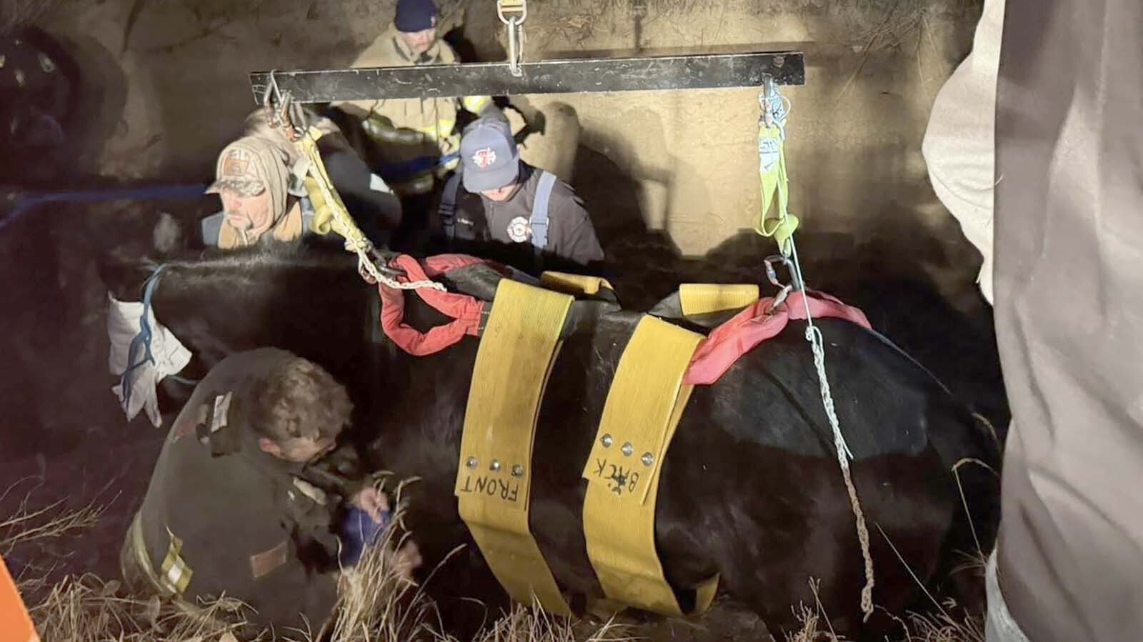 It took three hours, sedatives, a lot of manpower, and a special forklift tractor rig to get a horse out of a ditch in northeast Colorado on Sunday. In the Rocky Mountain West, rural responders are prepared for livestock rescues.