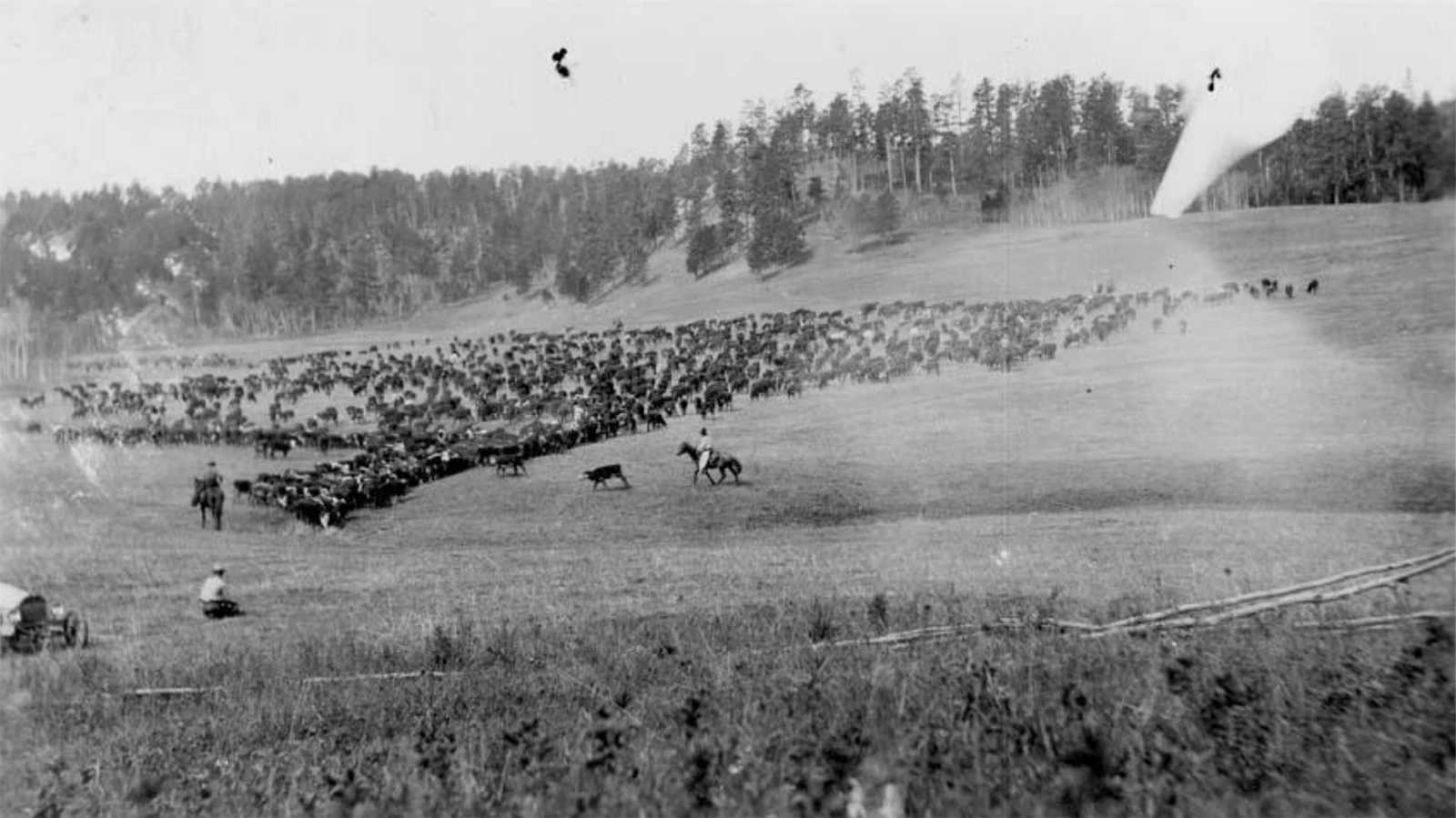 In the late 1800s, Crook County was home to ranchers and a band of thieves known as the Axelby Gang. The outlaws would run herds of stolen horses through the land on what was known as the “Horse Thief Trail” and law-abiding ranchers would look the other way, valuing their lives over reporting the thievery.