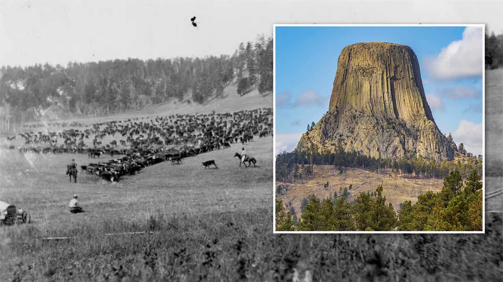In the 1880s, the Axelby Gang reportedly hid out in a cabin near Devils Tower, from which they stole horses and sold them through a network of ranchers, bankers and other prominent men. Locals say they still play ghost poker in tunnels below the cabin.
