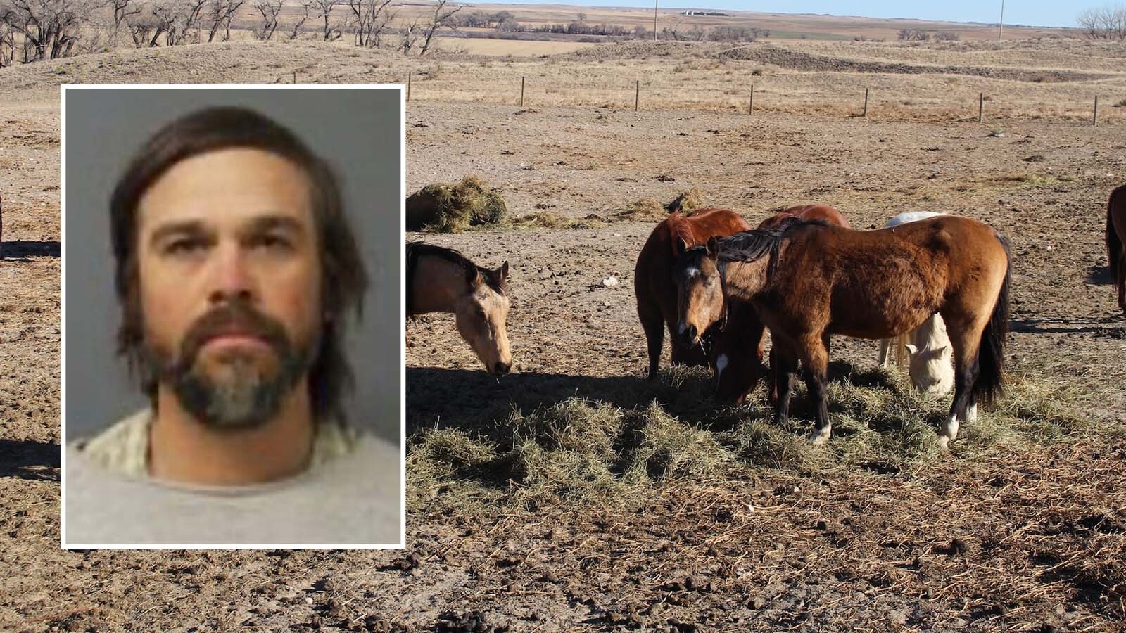 Nathan Wallman, the owner of the 14 Lingle horses, is headed to trial in March on animal abuse charges involving 17 other horses that he kept at a rented Torrington location.