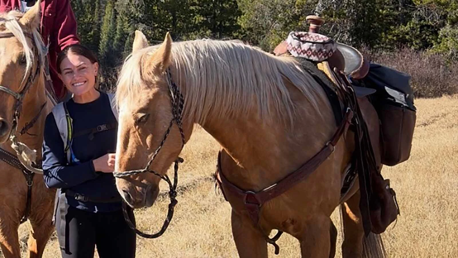 Sue, the fully tackled palomino, in the Bechler Region of Yellowstone National Park shortly after her was found and rescued on Friday.