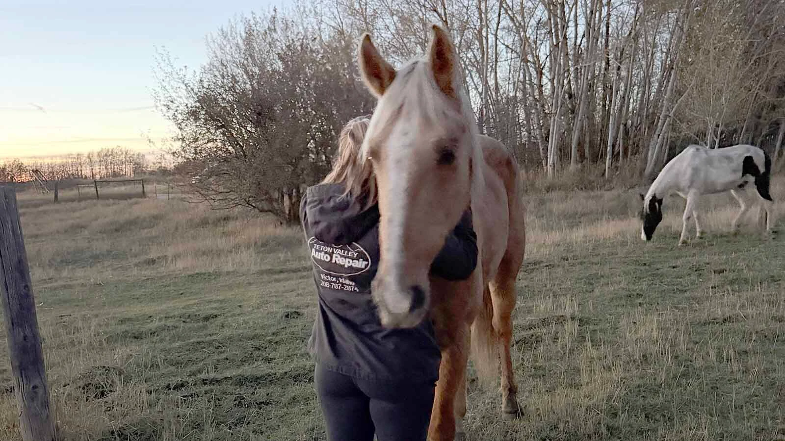 Paige Chavez hugs Sue, her 15-year-old palmino, after he was returned to his home in Idaho's Teton Valley. Sue was missing for a week neat the Bechler Ranger Station in Yellowstone's southwest corner and was found on Friday afternoon.