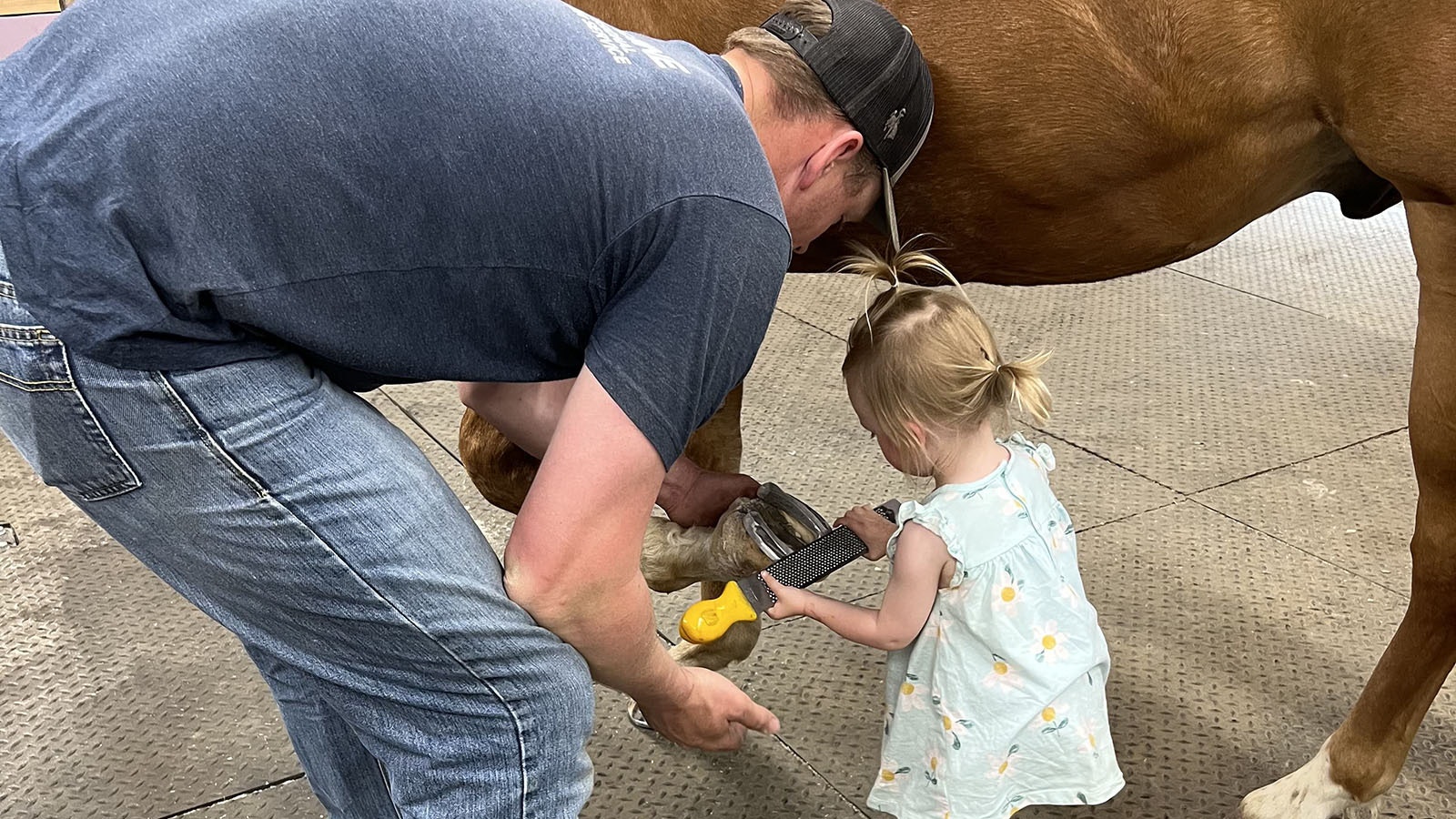 Horse realtor Clay Schafer has a little helper to measure the size of a patiently waiting horse's hoof.