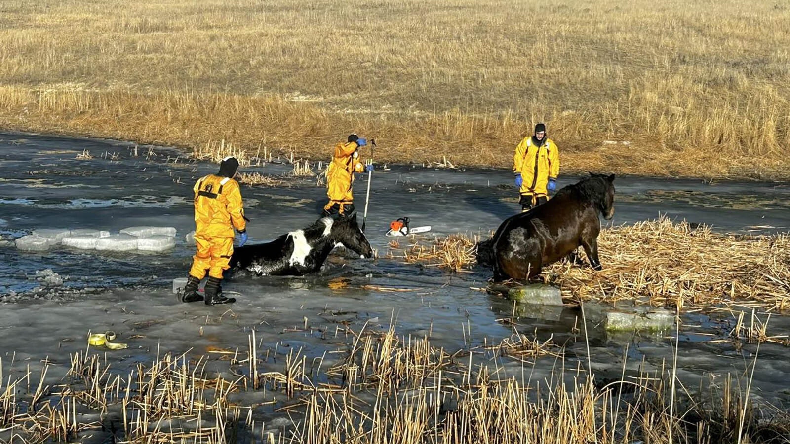 Campbell County Fire Department responders work with chainsaws and other equipment to free a pair of horses that fell into an icy pond Jan. 30, 2024. The horses eventually made their way out and survived.
