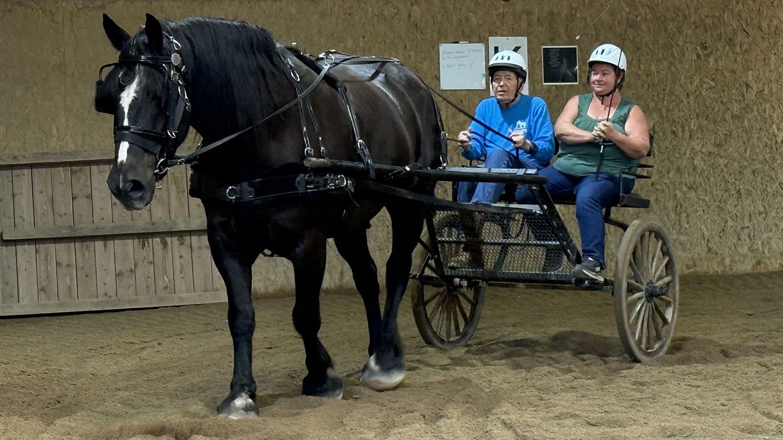 Navy veteran Bliss Ragsdale, left, participates in CHAPS adaptive carriage riding program with trainer Tracy Shaw.