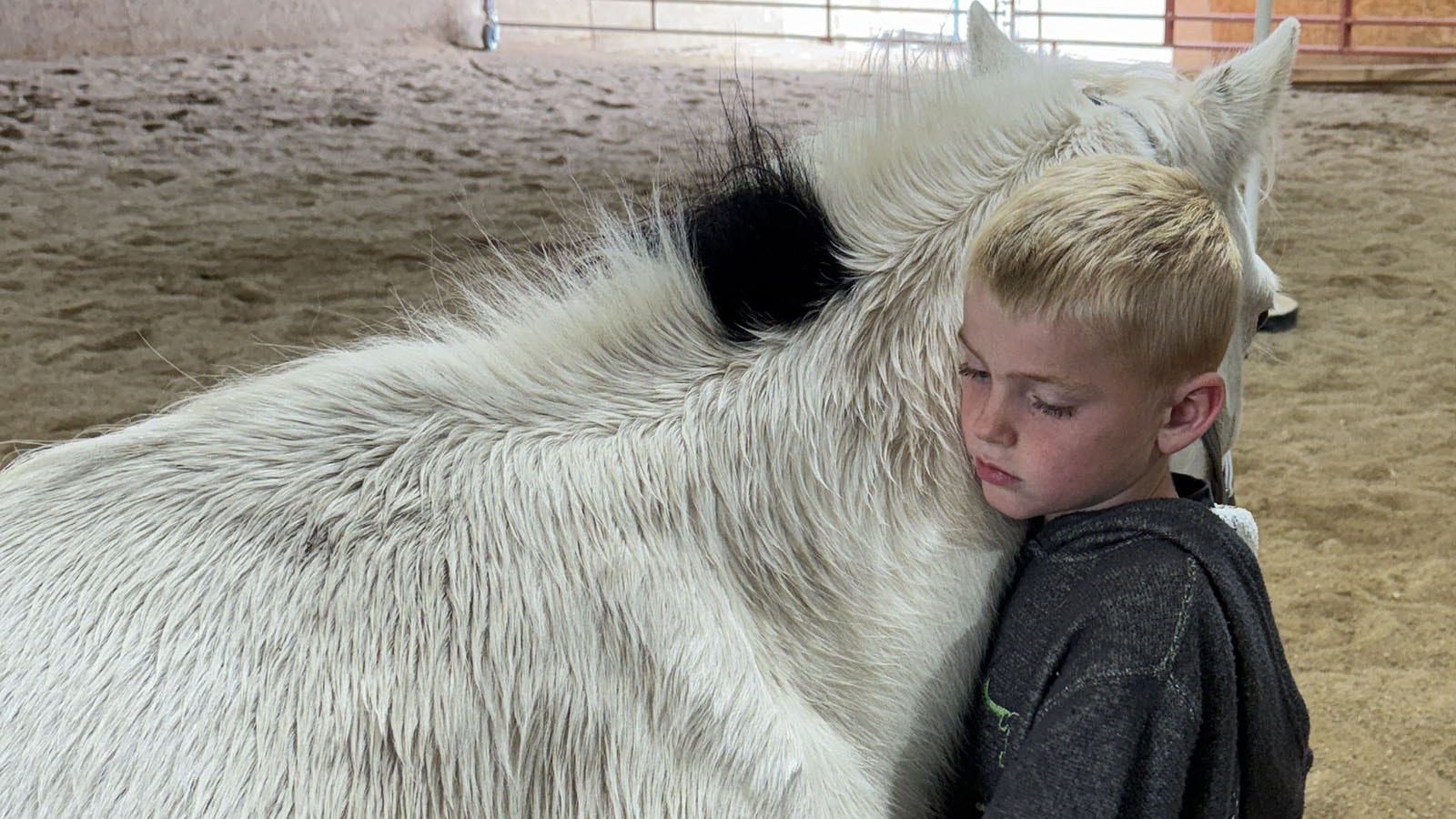 Hayden Terry works with a horse as part of CHAPS Equine Assisted Services Haltering Hope For Youth, an equine-facilitated psychotherapy group program. CHAPS, located in Sheridan, offers a variety of programs and recently became the only dual-accredited facility in the state.