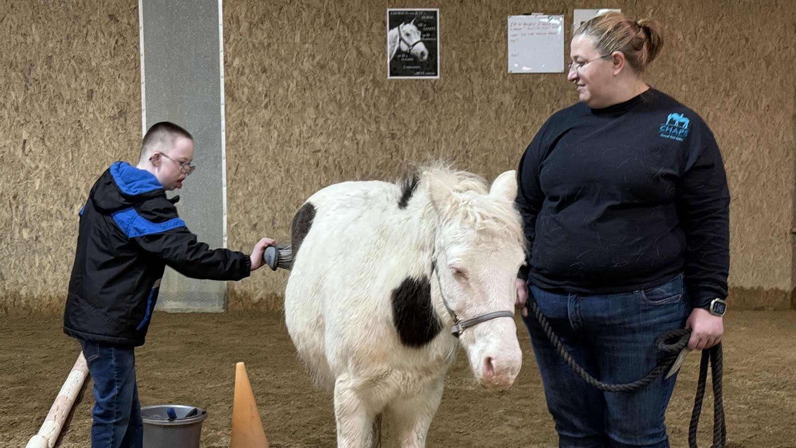 Jayden Layher, left, grooms a pony held by volunteer Barb Perry in CHAPS Pony Pals program. It focuses on socialization/verbalization, social skills, fine and gross motor skills, as well as memory and recall.