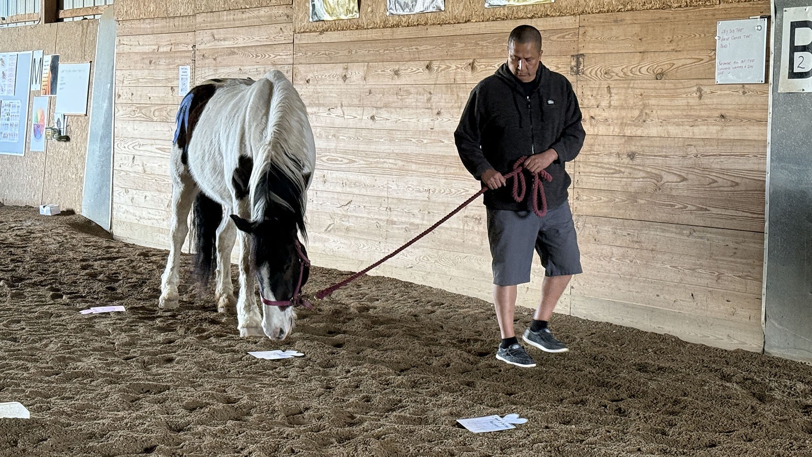 Army veteran Joel Brady participates in Horses 4 Forces, an equine-facilitated psychotherapy group program at CHAPS Equine Services in Sheridan. CHAPS offers a variety of programs and recently became the only dual-accredited facility in the state.