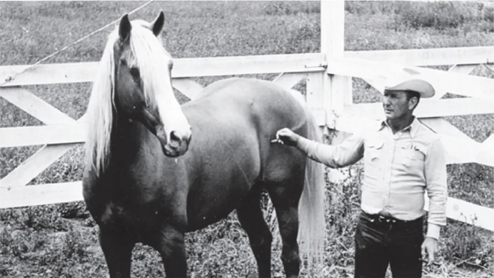 Glenn Randall trained trick horses for a decade in Wyoming before going to Hollywood and training horses such as Trigger, the famous horse of 1950s star, Roy Rogers.