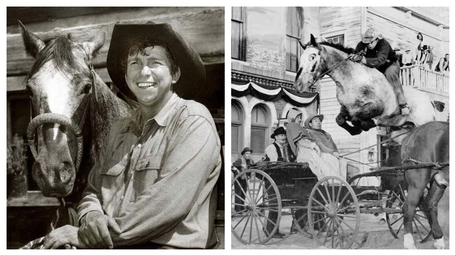 Dear John was another Hollywood star trained by Randall. Actor Slim Pickens had found the wild-eyed Appaloosa in a Montana pasture and purchased him for $150. It was under Randall’s careful tutelage that Dear John learned to nod, shake his head, buck on cue, and sit like a dog.