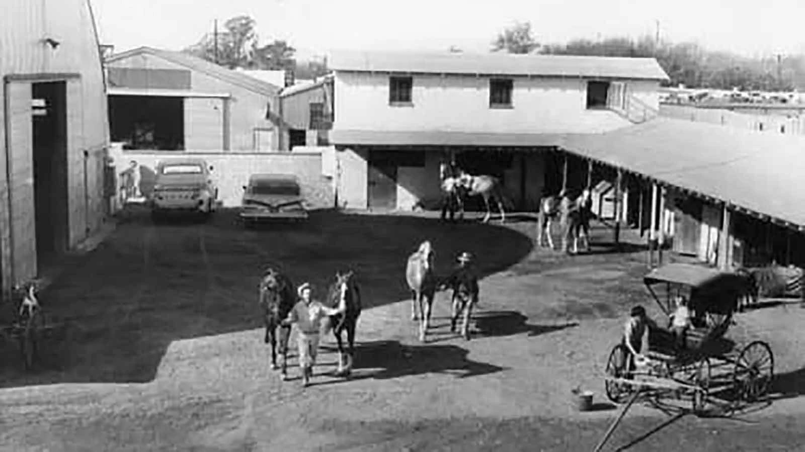 In the 1960s, horse trainer Glenn Randall had the reputation as being one of the best horse trainers in the world. He trained many of the famous horses in Hollywood beginning in the late 1930s and up until his death in 1992. (Randall at left and Walter Radde)