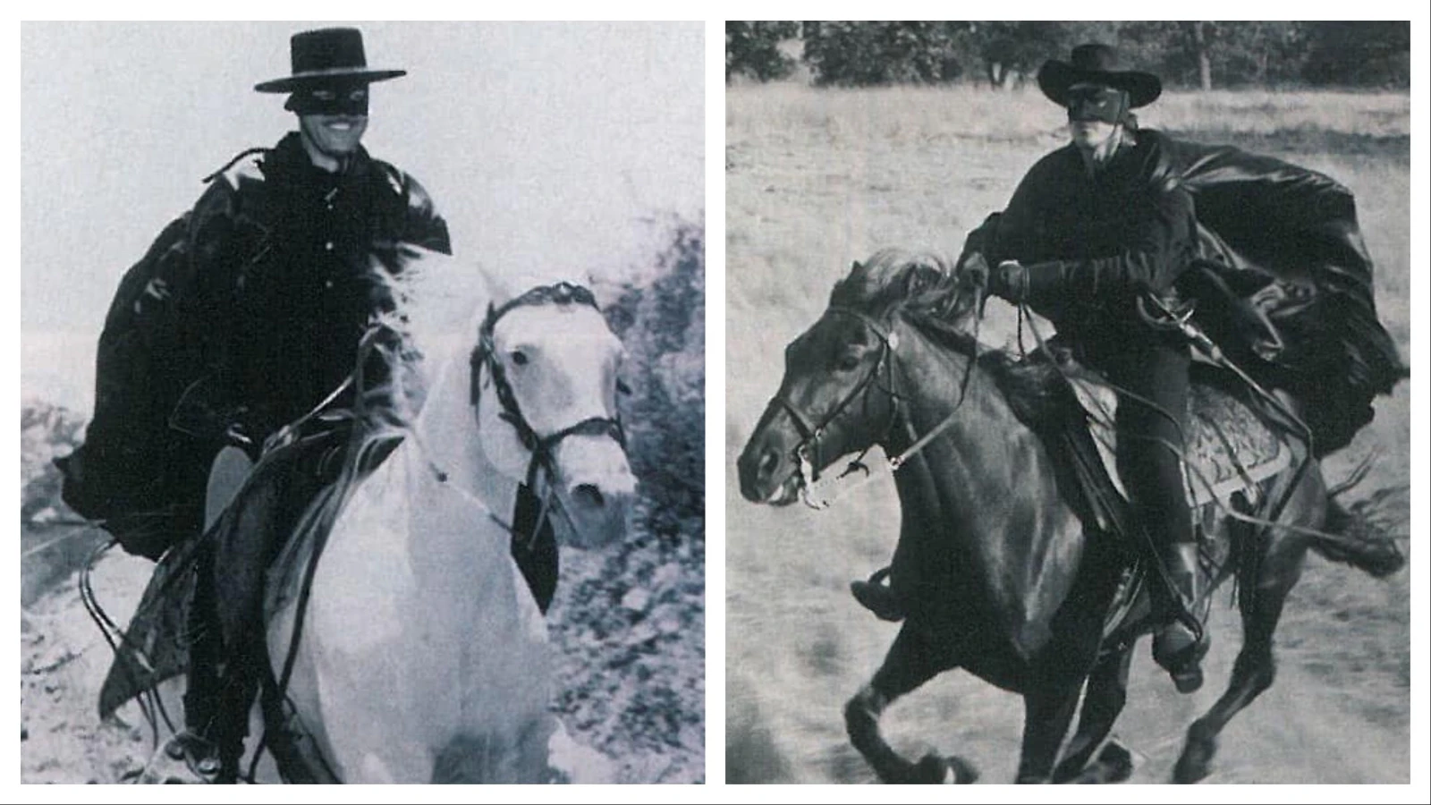 Diamond Decorator was the main horse used by Zorro in the 1950s series. The coal-black horse was trained by Randall’s son, Corky, who carried on the family’s legacy and worked side-by-side with his parents. 