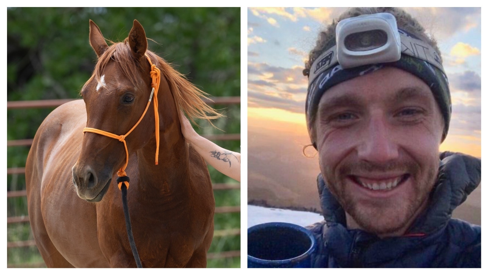Natalie Lombard, a veterinary surgical tech at Colorado State University, decided to bring Perrier aka Perry home after the horse donated his stem cells for use in regenerative therapies. Ben Noren is co-founder of CellDrop Biosciences, a University of Wyoming spinoff company.