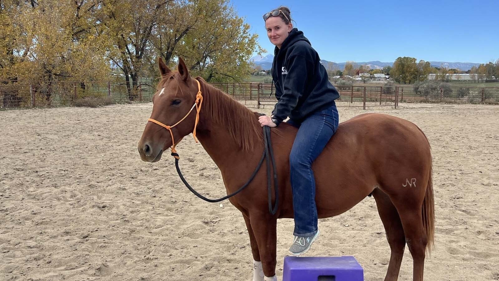 Natalie Lombard, a veterinary surgical tech at Colorado State University, decided to bring Perrier aka Perry home after the horse donated his stem cells for use in regenerative therapies.