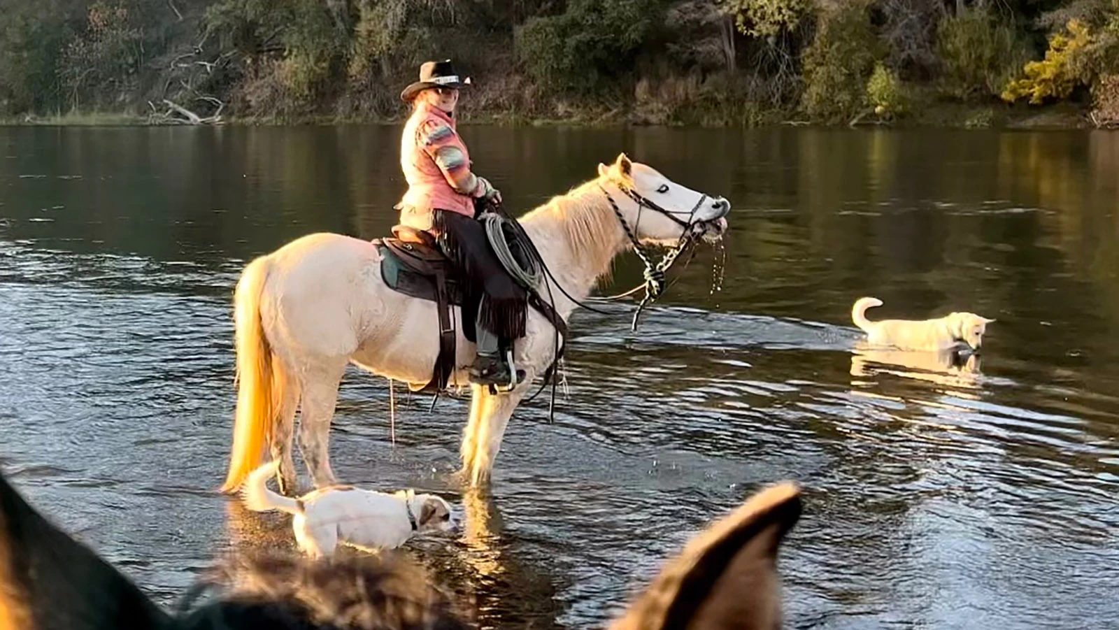 When Lisanne Fear sat down to write a suicide note, she couldn't bring herself to part with a mustang named Phineas. That decision led to the Pinedale, Wyoming, woman's 5,000-mile ride across the U.S. Through it all was her faithful dog, Lou.