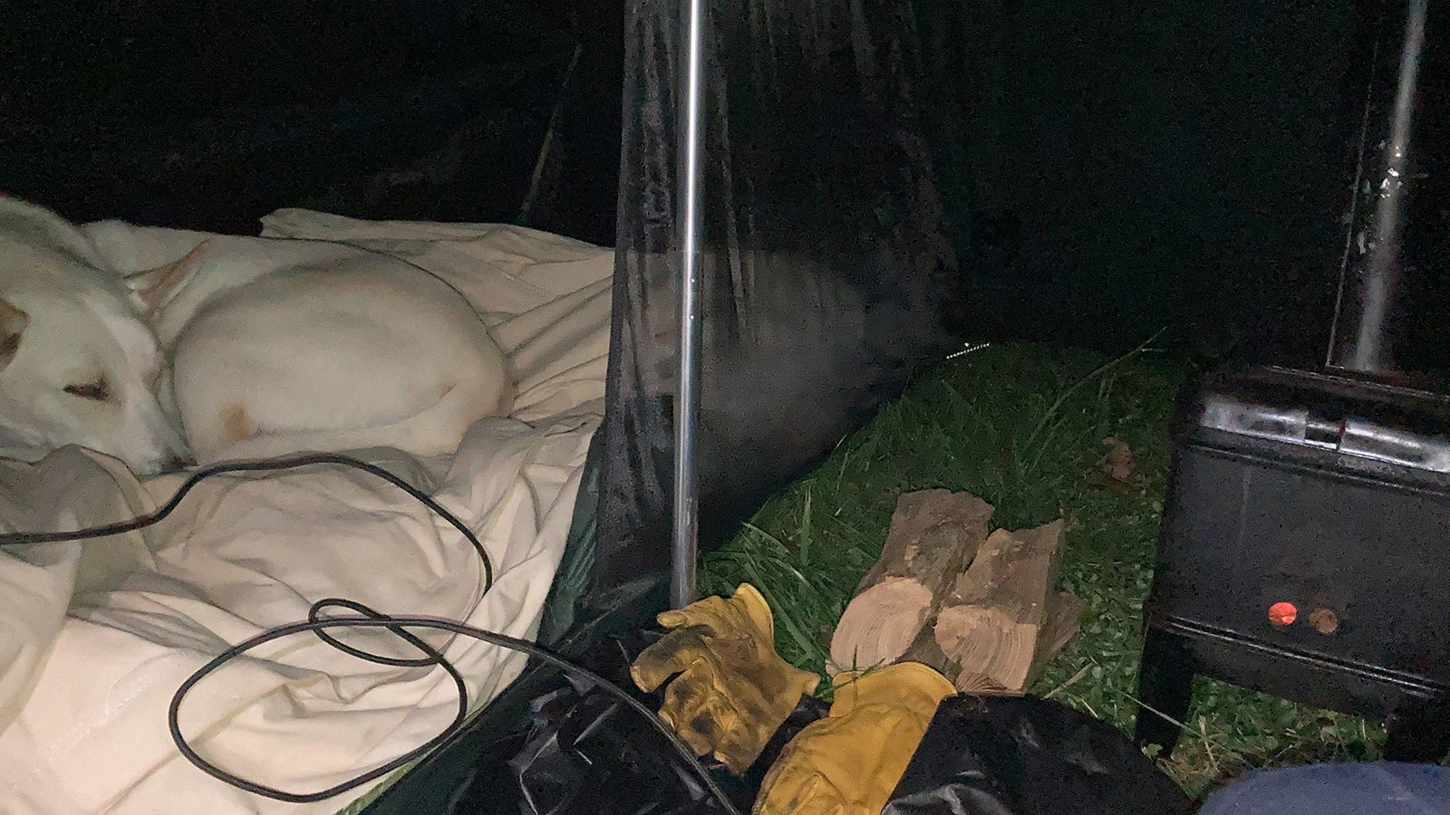 When Lisanne Fear sat down to write a suicide note, she couldn't bring herself to part with a mustang named Phineas. That decision led to the Pinedale, Wyoming, woman's 5,000-mile ride across the U.S. Much of that time was spent camping out, like in this tent in Maryland.