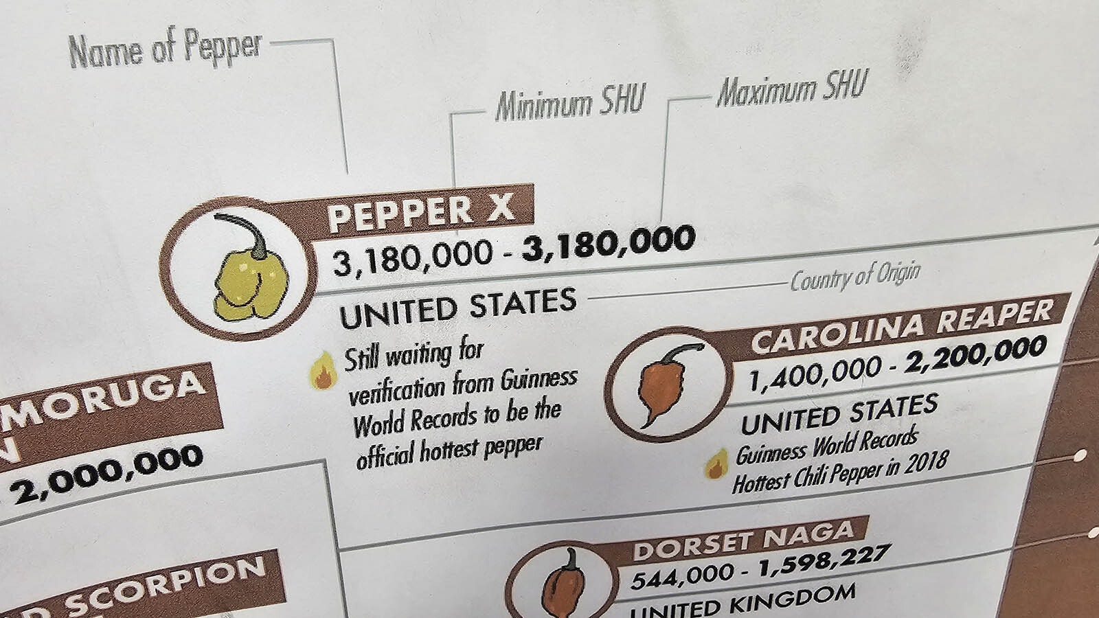 The Pepper X has since been verified as a world record, and it is 3.18 million on the Scoville Heat Scale, which ranks the hot peppers of the world based on their heat.
