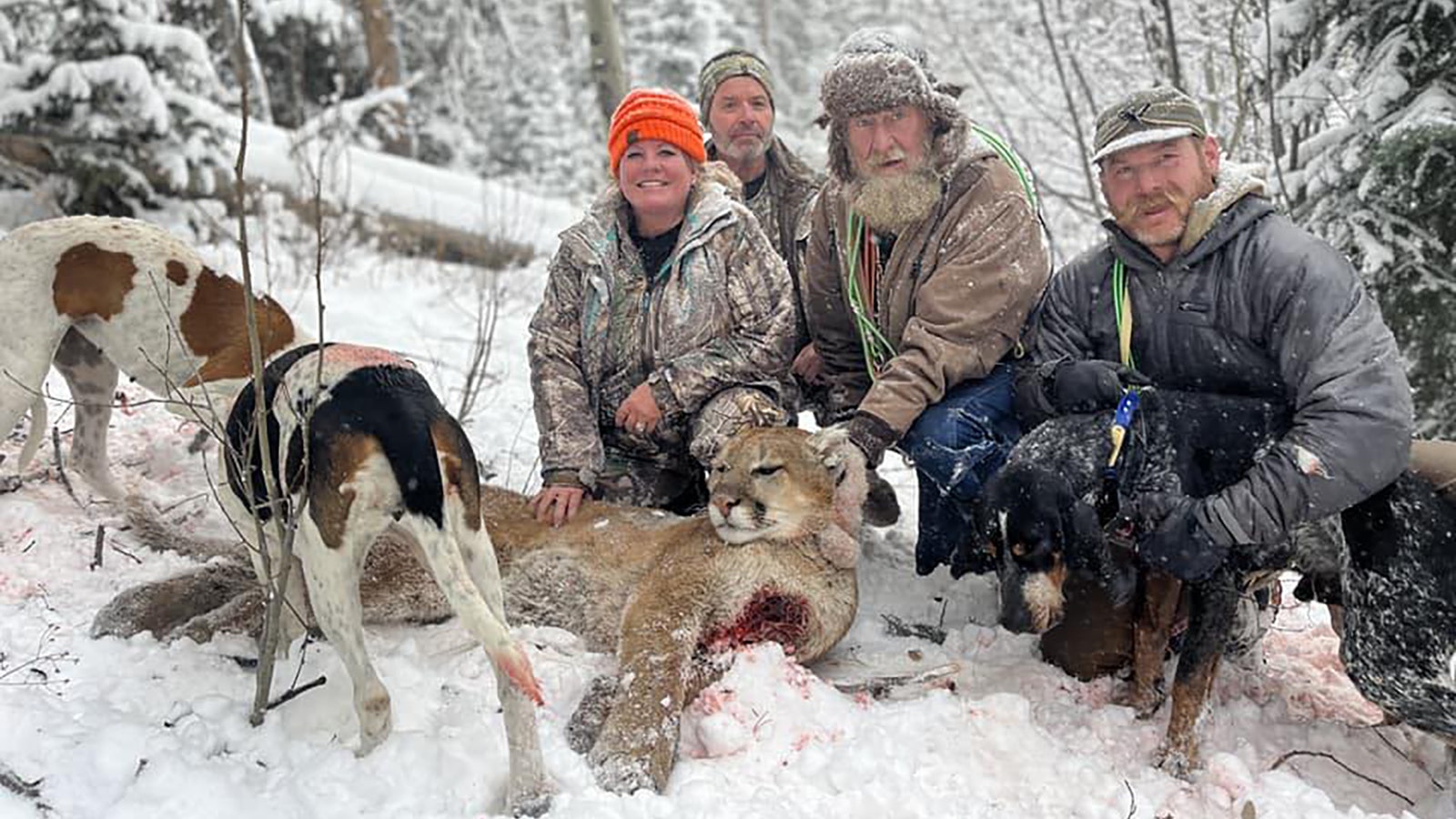 Doug Boykin and his sons guide hound hunts for mountain lions and bears in Wyoming and Arizona.