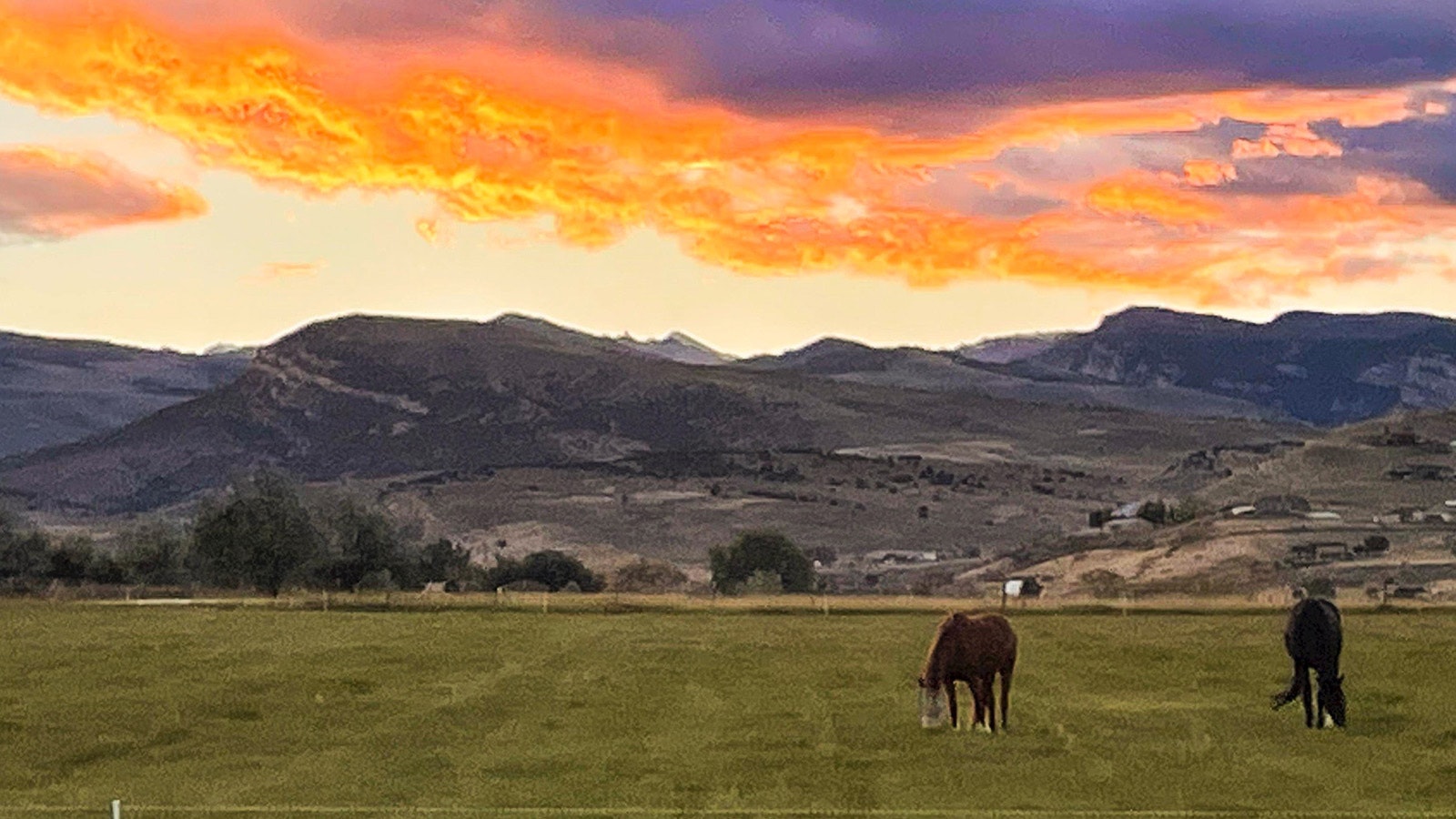 The real estate specialization niche of horse properties is something that's especially helpful in rural states like Wyoming, where homebuyers are looking for more than great living ammenities for themselves. They're also looking for their horses. This property also features a large hay barn, arena and other tack and on-site living areas to care for horses.