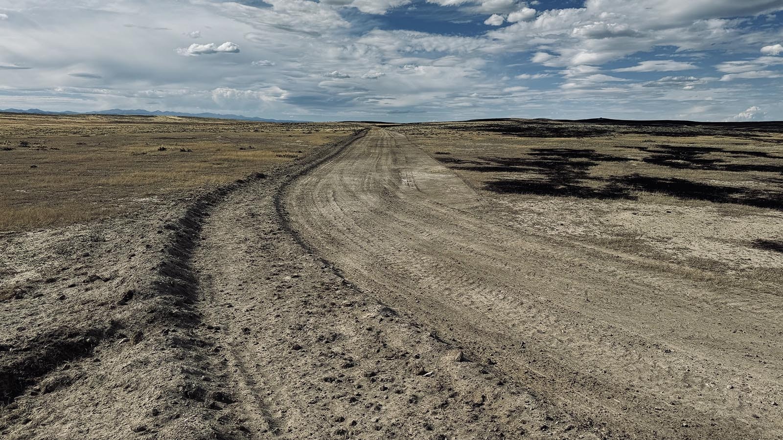 It takes about 15 miles of driving over tough gravel and dust roads to reach Vic Goni’s sheep ranch off Buffalo Sussex Cutoff Road.