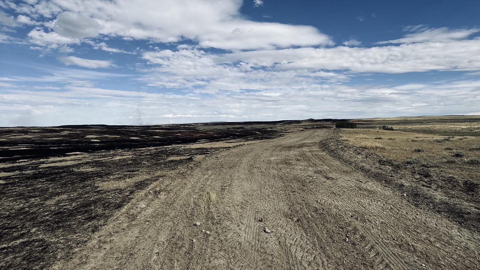 It takes about 15 miles of driving over tough gravel and dust roads to reach Vic Goni’s sheep ranch off Buffalo Sussex Cutoff Road.