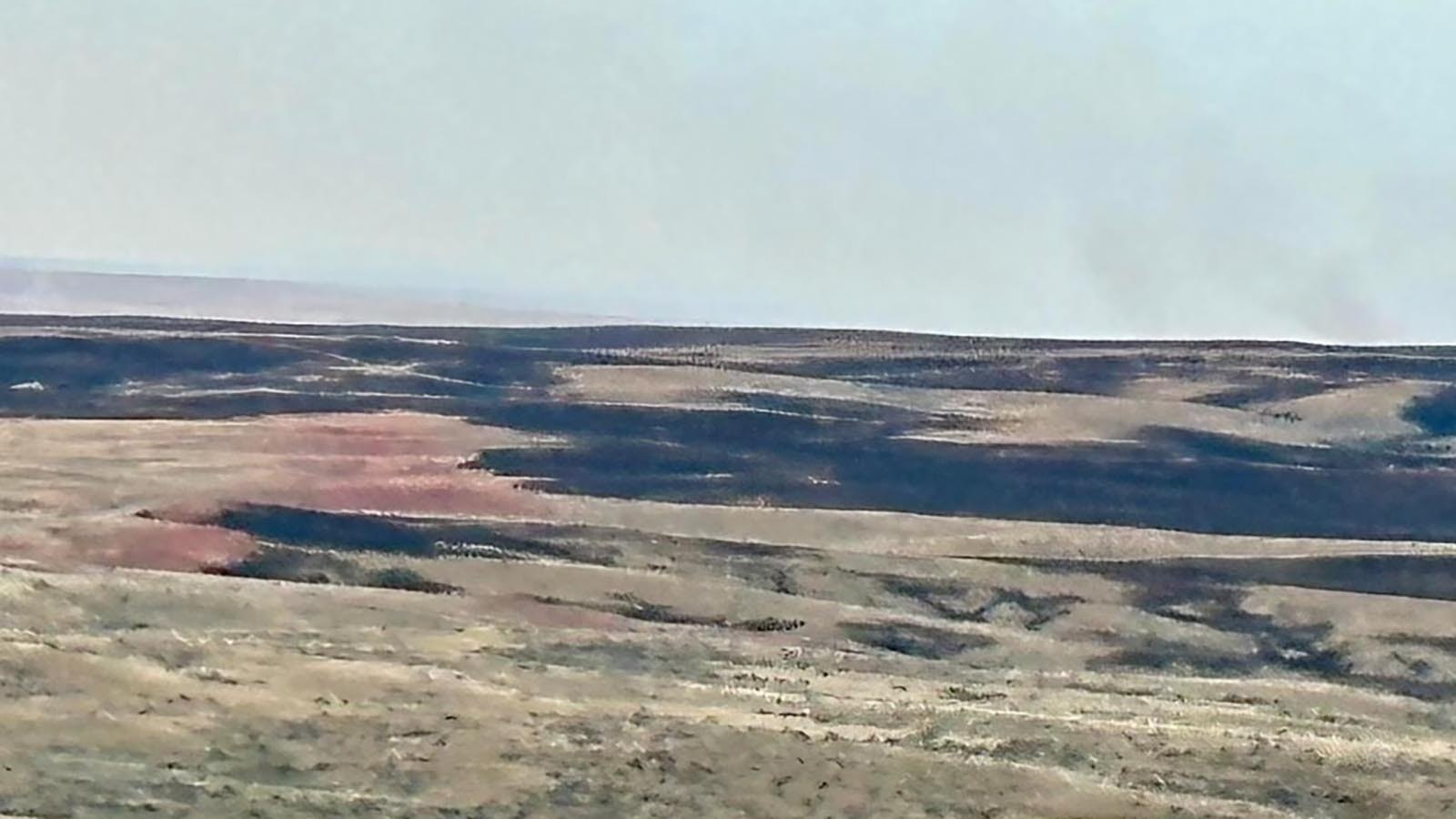 The plains burned after the House Draw Fire moved through the area off Buffalo Sussex Cutoff Road.