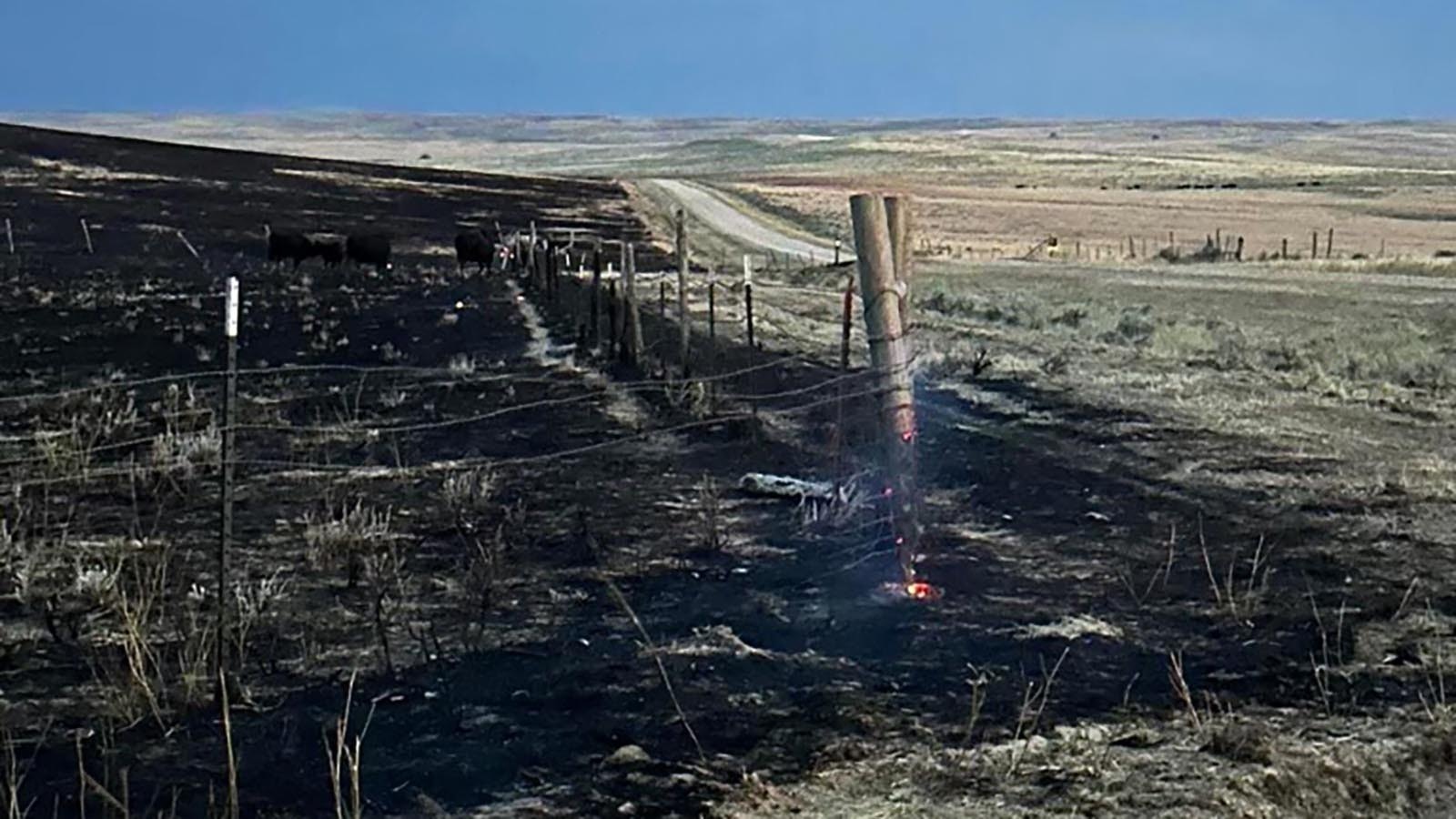 The plains burned after the House Draw Fire in 2024 moved through the area off Buffalo Sussex Cutoff Road.