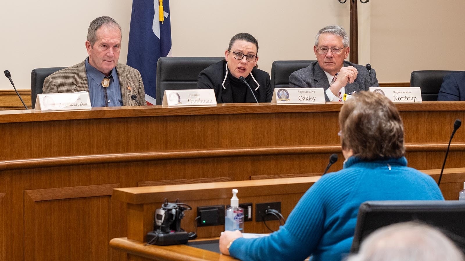House Revenue Committee Chairman Reps. Steve Harshman, from left, Ember Oakley and David Northrup hear testimony about property tax bills during a Friday meeting at the Capitol in Cheyenne.