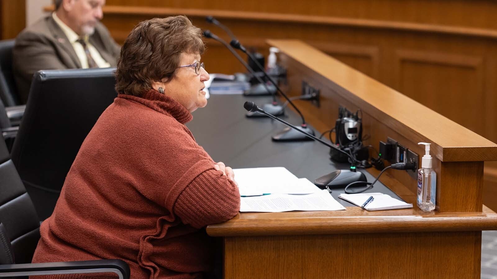 Converse County Assessor Dixie Huxtable discuses a measure to base property tax on a home's market value and sale price during a House Revenue Committee meeting on Jan. 30, 2025.