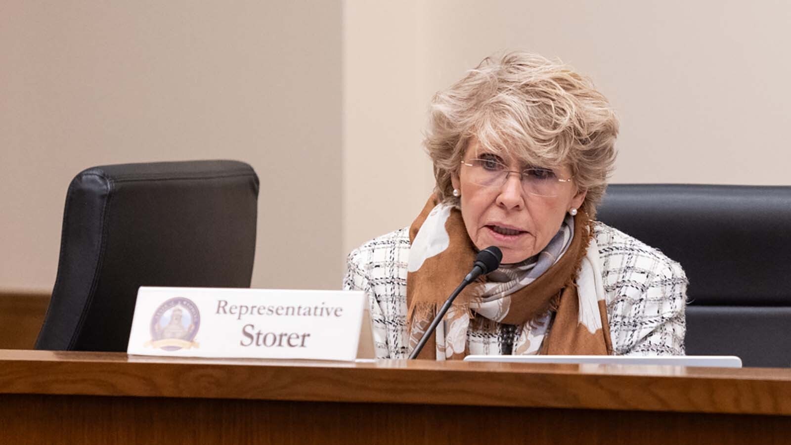 State Rep. Liz Storer, D-Jackson, discuses a measure to base property tax on a home's market value and sale price during a House Revenue Committee meeting on Jan. 30, 2025.