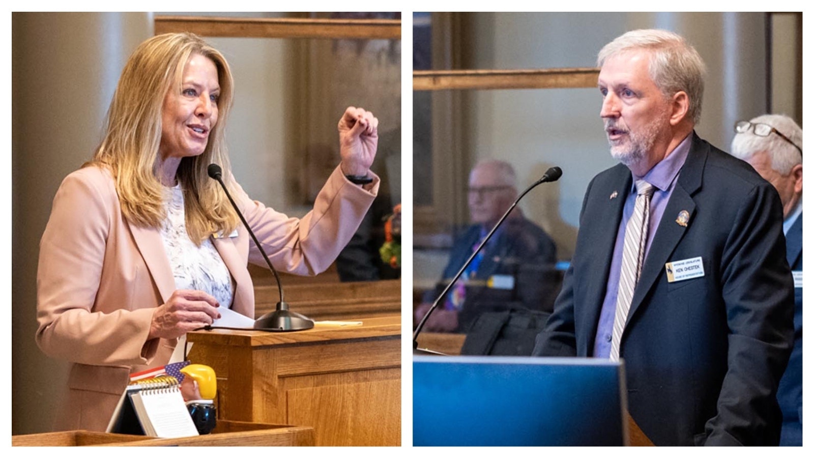 State Reps. Elissa Campbell, R-Casper, left, and Ken Chestek, D-Laramie, debate the "What is a Woman Act" on the House floor Thursday, Jan. 16, 2025, at the Capitol in Cheyenne.