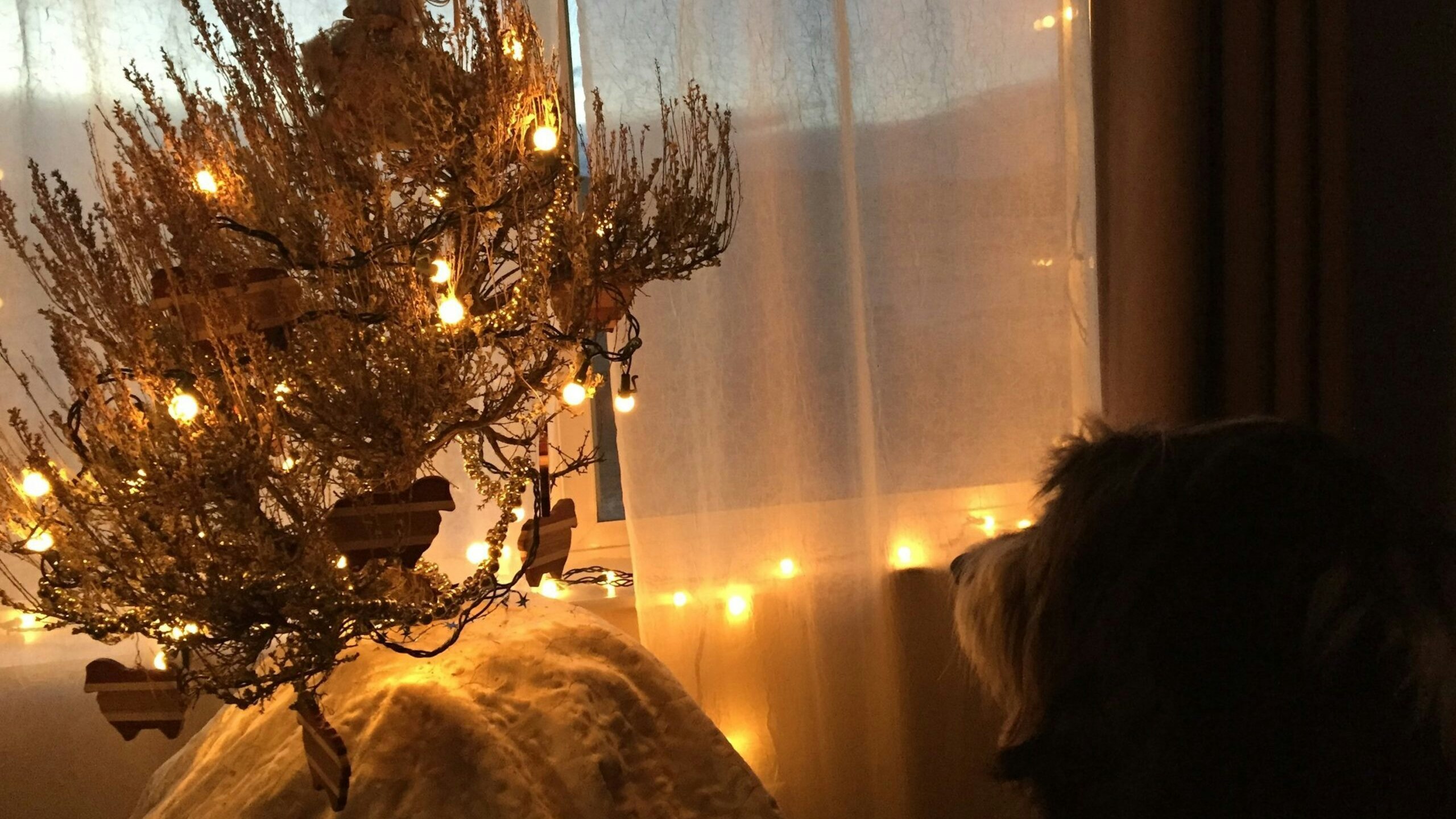 Hud Christmas scaled