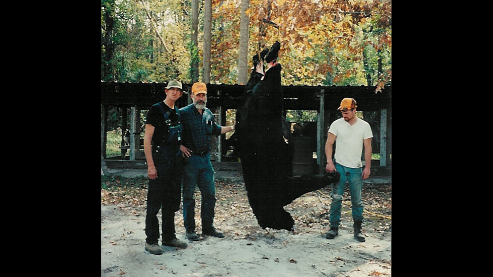 This 880-pound black bear, shot by Dolly Parton’s cousin in North Carolina in 1998, is the largest-ever officially recorded black bear.