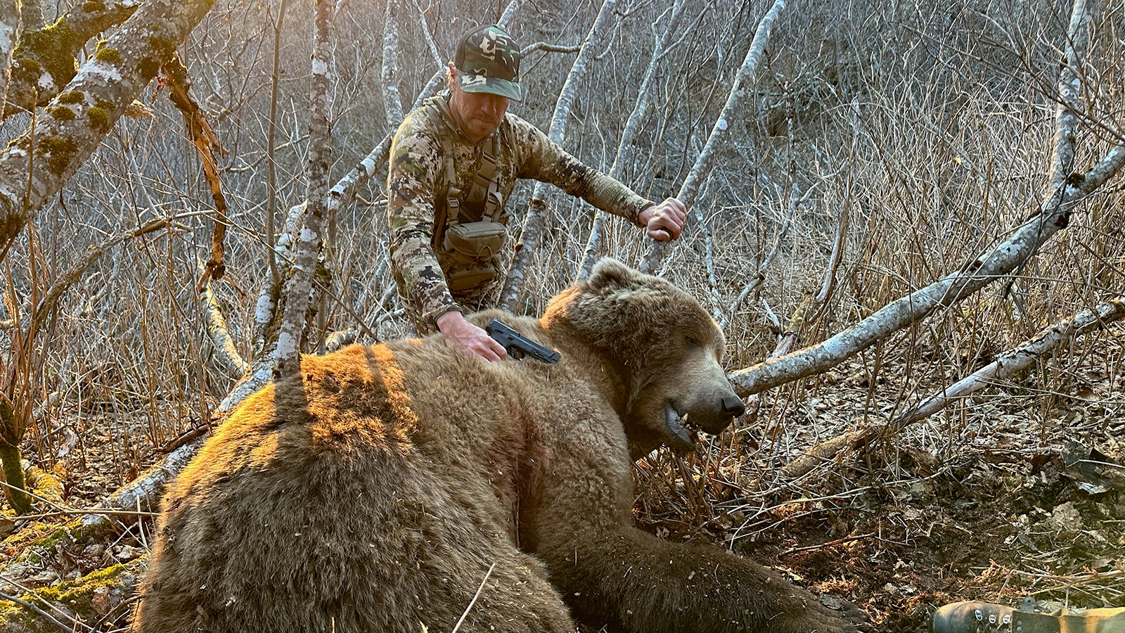 Tyce Erickson used a 10 mm pistol to stop this 1,000-pound Kodiak bear that charged his hunting guide in Alaska. The 10 mm round is popular for bear defense. Lee Francis of Evanston used a similar pistol to fight off a grizzly in the Wyoming backcountry in 2022.