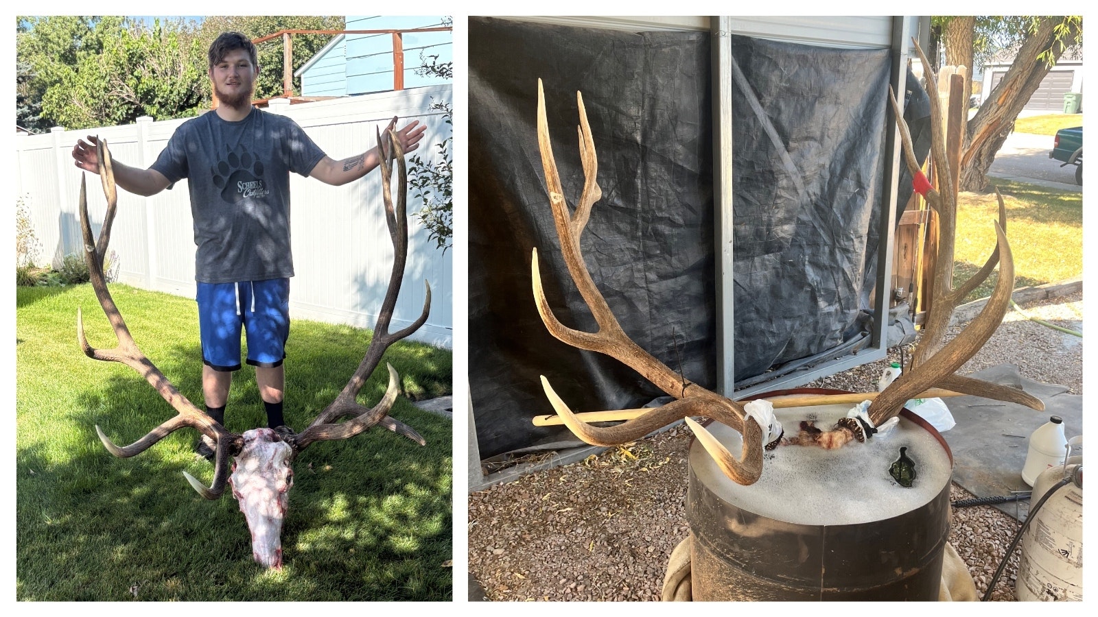Four years ago, Gillette elk hunter Terrance Monger spotted a gigantic bull elk in a public land hunting area. After hunting for it every season since, he bagged the behemoth Sept. 18.