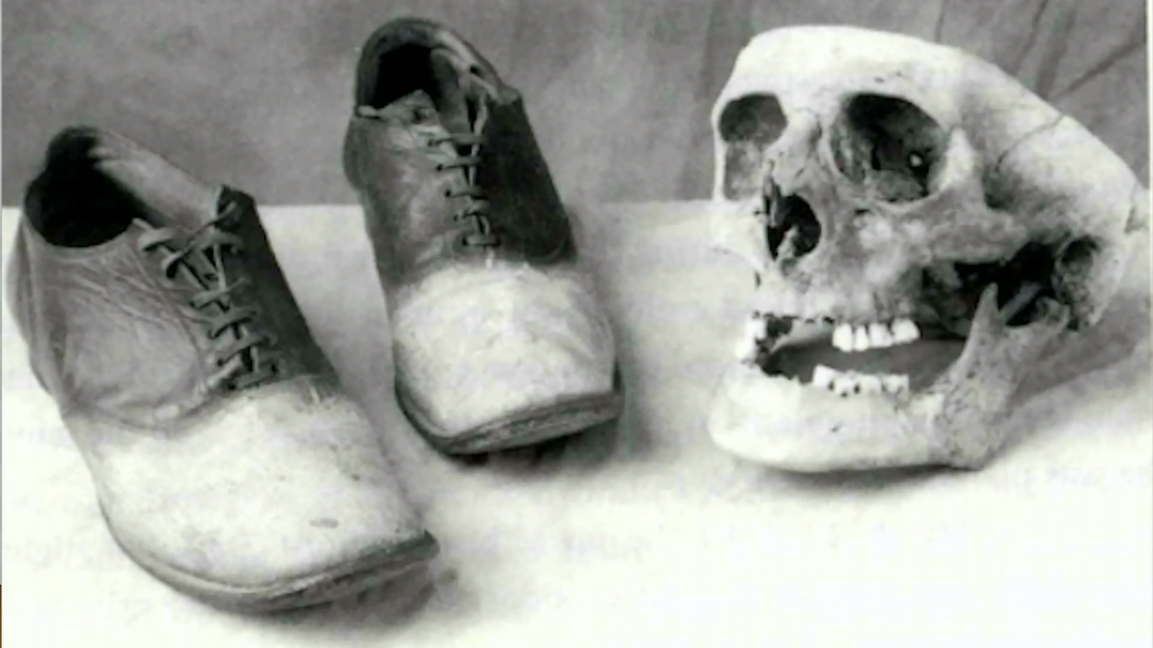 Wyoming outlaw George "Big Nose" Parrott would have his skin made into a pair of shoes for the eventual governor of the state of Wyoming. The shoes are still at the Carbon County Museum in Rawlins, along with the outlaw's skull.