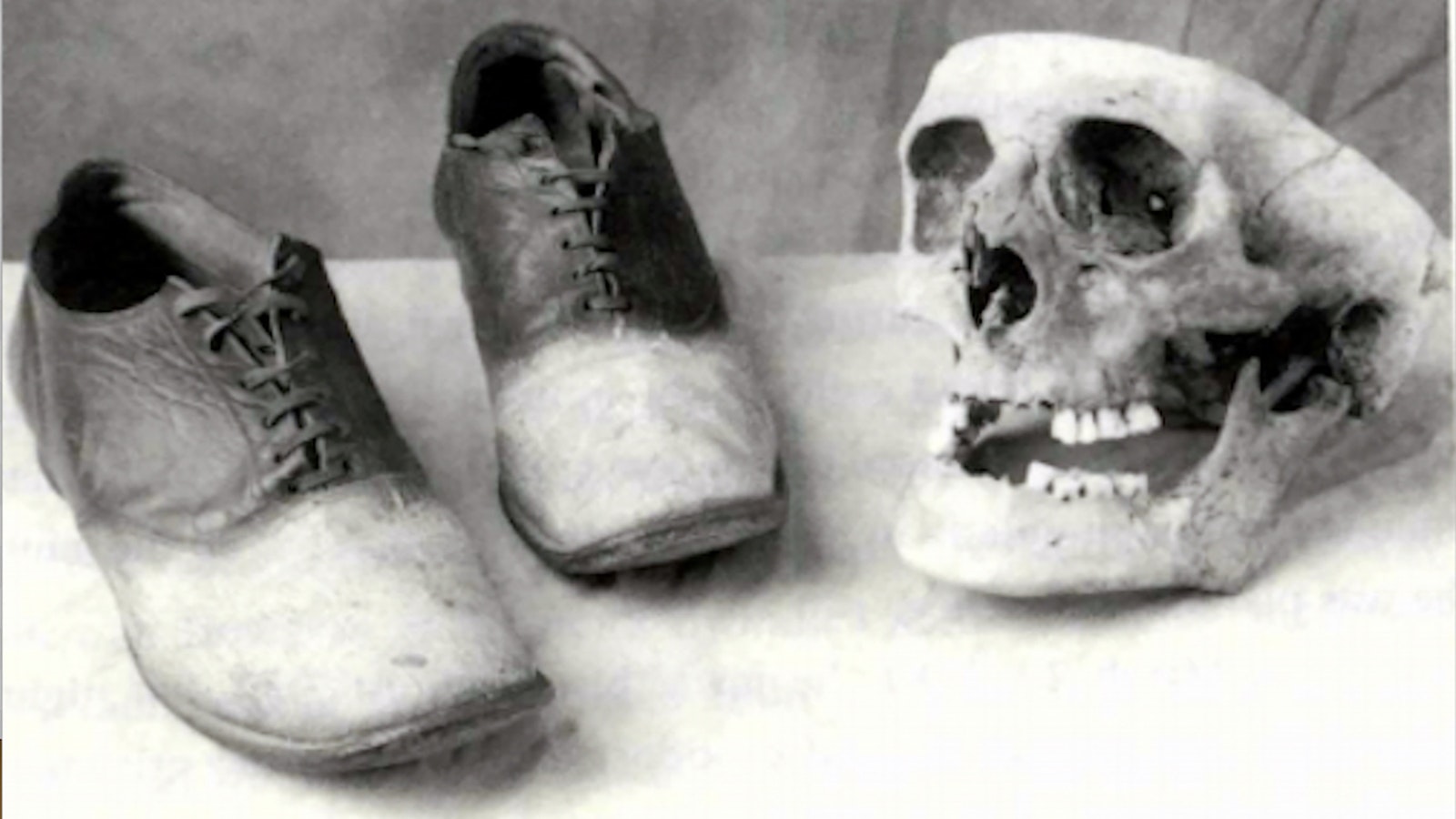 Wyoming outlaw George "Big Nose" Parrott would have his skin made into a pair of shoes for the eventual governor of the state of Wyoming.