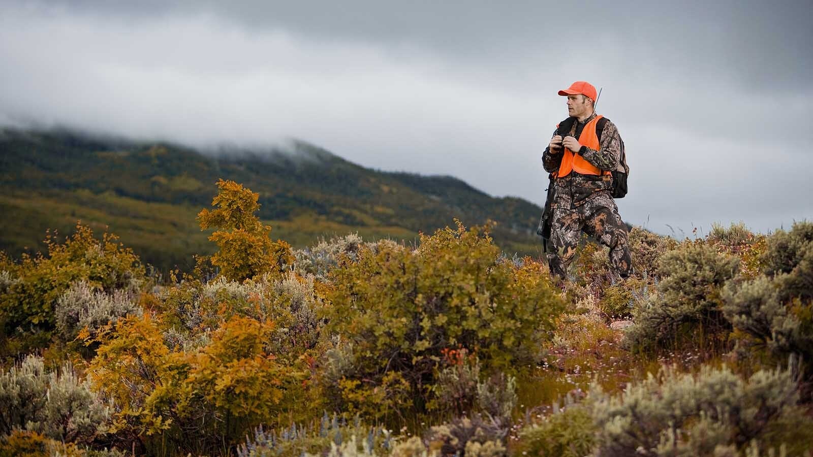 Hunters are up in arms over potential federal public land sales included in a U.S. Senate budget bill. Two prominent outdoorsmen, one from Wyoming and another from Montana, blasted the measure.